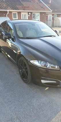 Jaguar XF cena 51000 przebieg: 167000, rok produkcji 2013 z Kutno małe 46